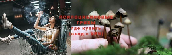 шишки Вяземский