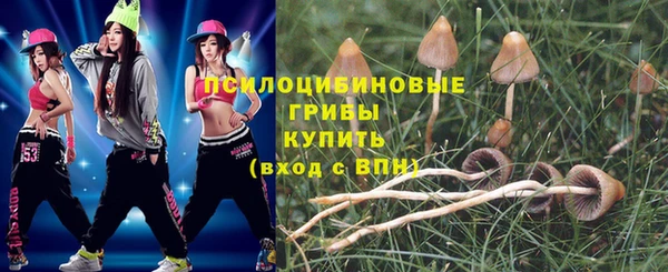 шишки Вяземский