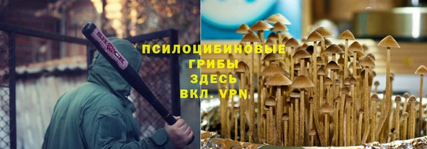 шишки Вяземский