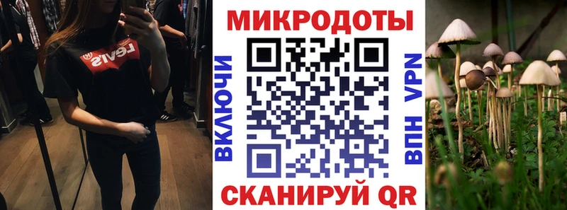 Псилоцибиновые грибы прущие грибы Купить закладки Сергач